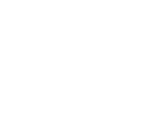 TS Media